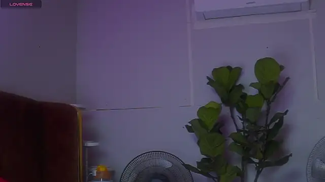 laybunny1 webcam