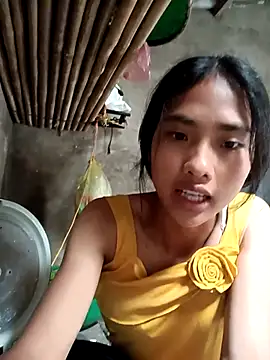 Hoa-tuylip webcam