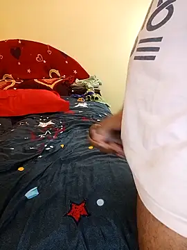 INDIANDESIMATURE webcam