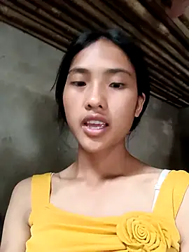 Hoa-tuylip