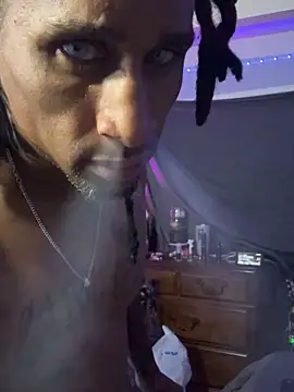 TheRealMrDLlong webcam