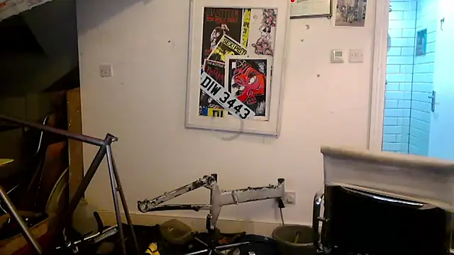 mista_sista_fista webcam