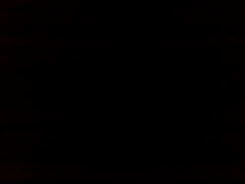 82liska webcam