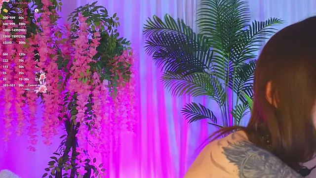 EvaHair webcam