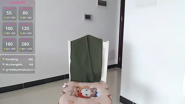 KK-328 webcam