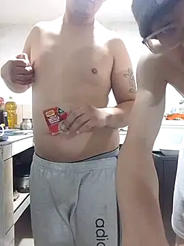 JARVENxblaze webcam