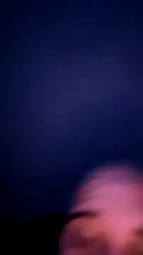YiingandYang webcam