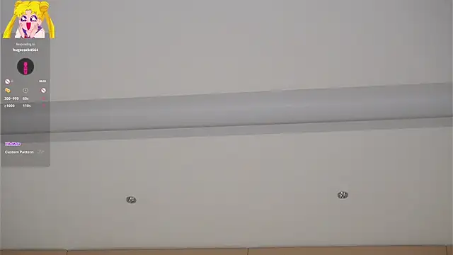 EdlinHargus webcam