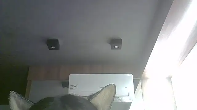 SkinnyKitten webcam
