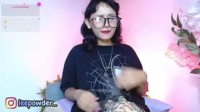 LeePowder webcam