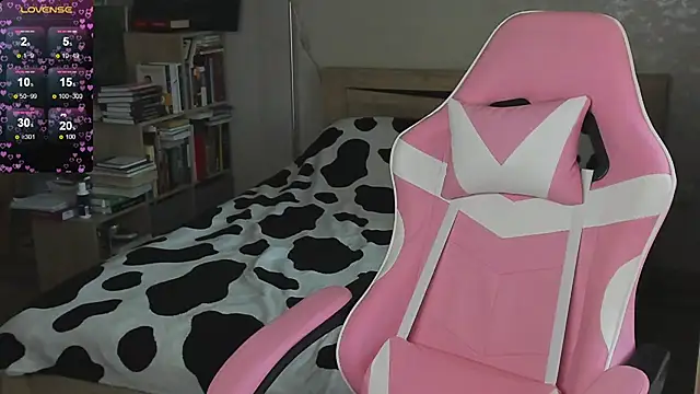 bbJ_one webcam