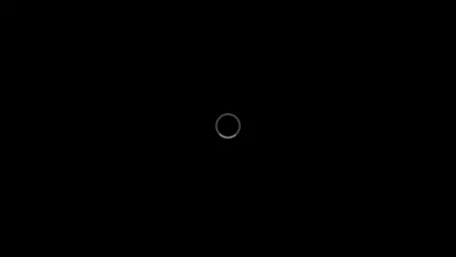LxayBloom webcam