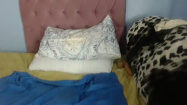 Nellybba webcam