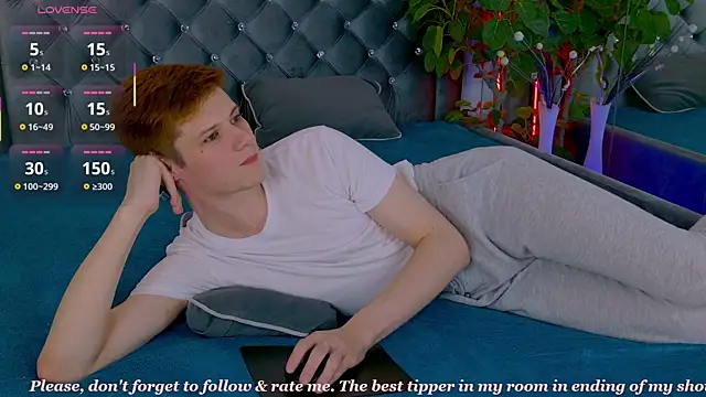 Allert_ webcam