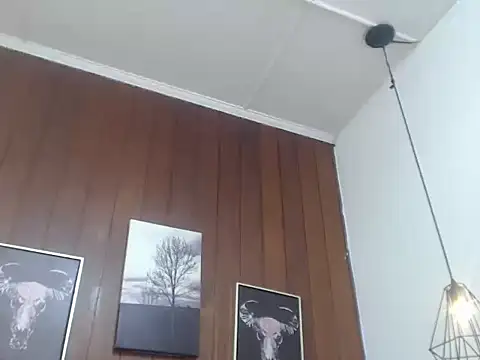 Aurora_ath webcam