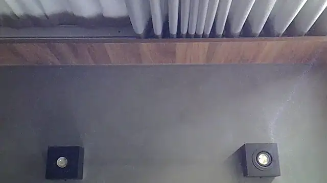 SkinnyKitten webcam
