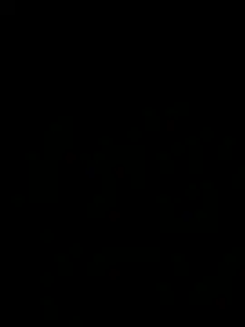 SideGhost webcam