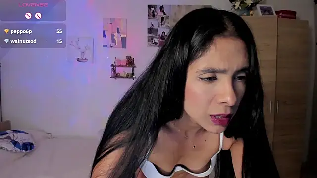 Veronikolsen- webcam