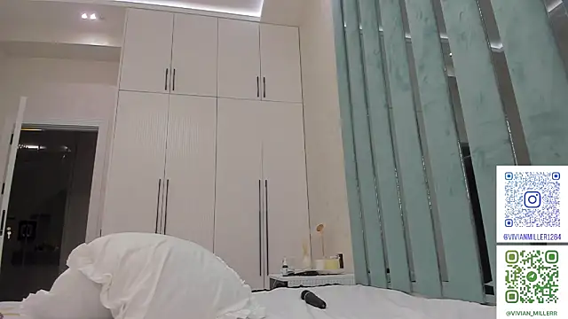 VivianMiller_ webcam