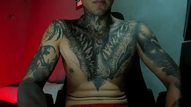 Travtanner webcam