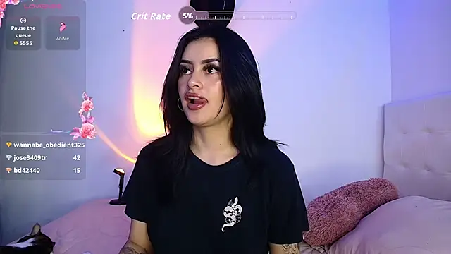 arye_lle webcam