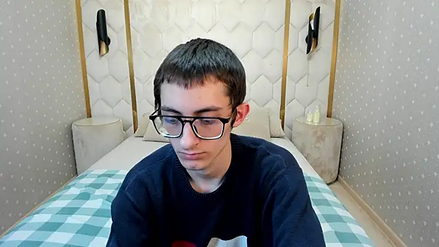 RonBevs webcam