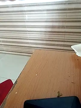 Tinameri webcam