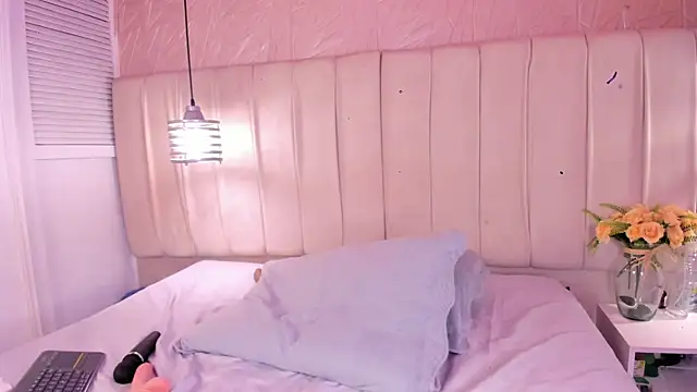 avy_st webcam