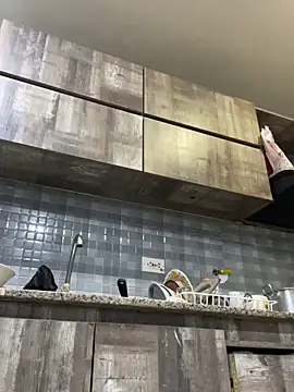 FOX_LATINA