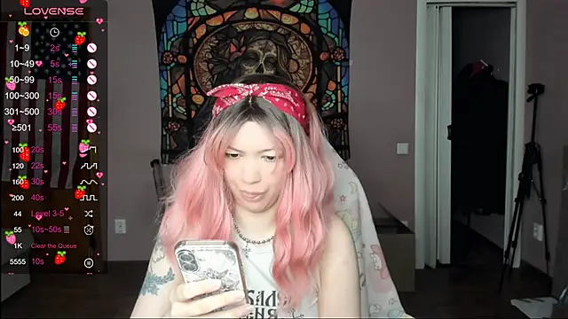 Project_hisoka webcam