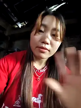 he-se-kin webcam