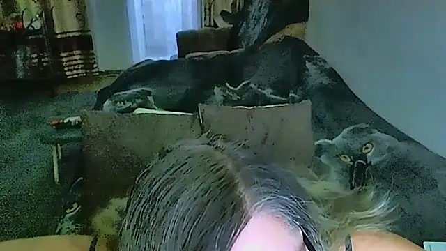sex2 webcam