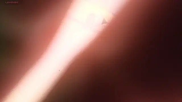 Nioki_ webcam