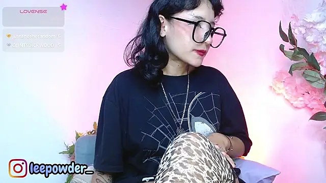 LeePowder webcam