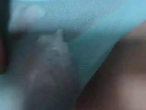 JessicaNaughty webcam
