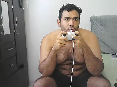 IronSideBear webcam