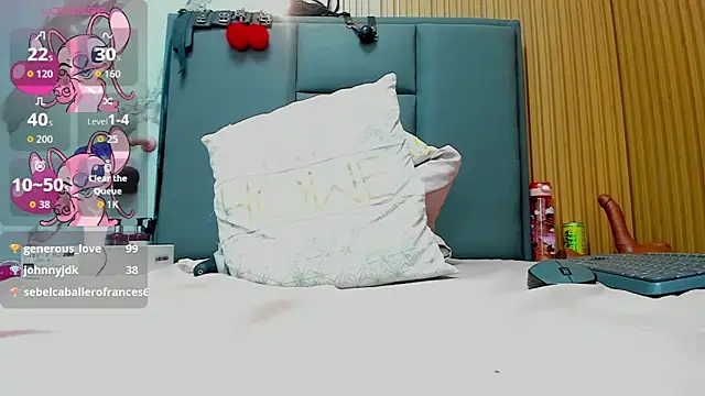 Isisleroy1 webcam