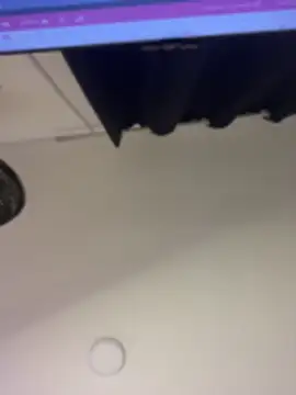 cotton_07 webcam