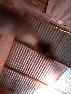 Mycansonhot webcam
