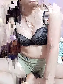 Phoebe-e webcam