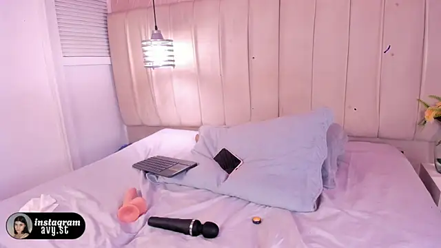 avy_st webcam