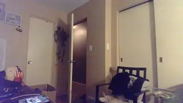 bigdaddyrooster webcam