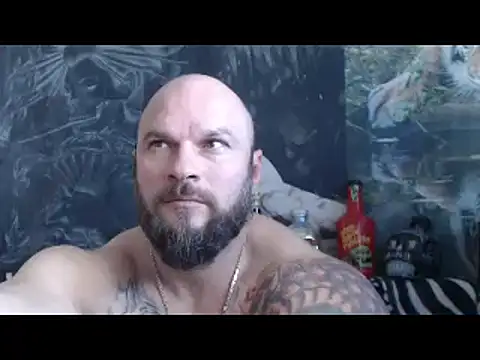 viking_30 webcam