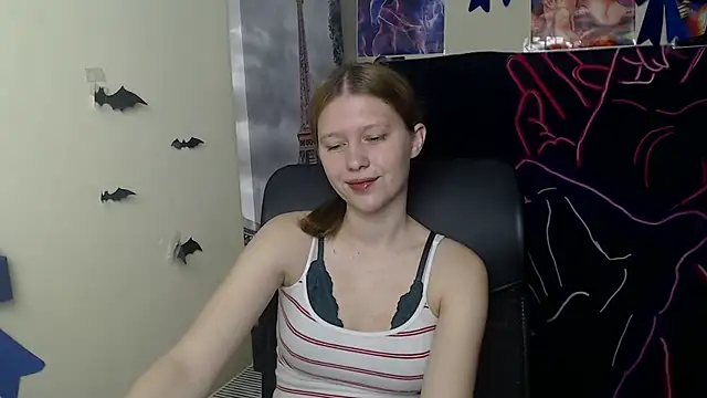 StellaCRL webcam