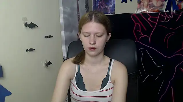 StellaCRL webcam