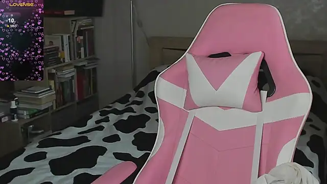 bbJ_one webcam