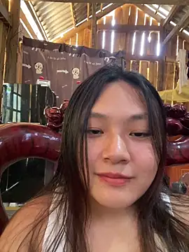 bikhidj webcam
