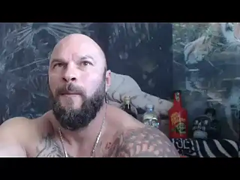 viking_30 webcam