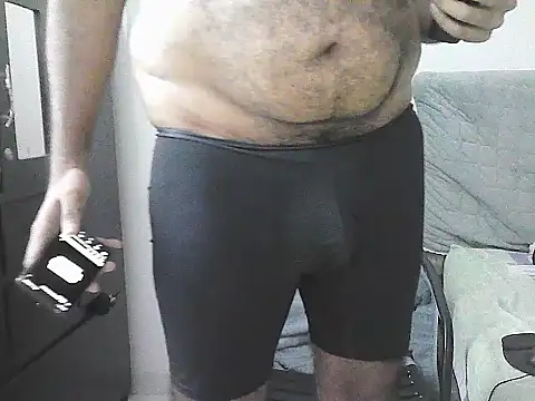 IronSideBear webcam