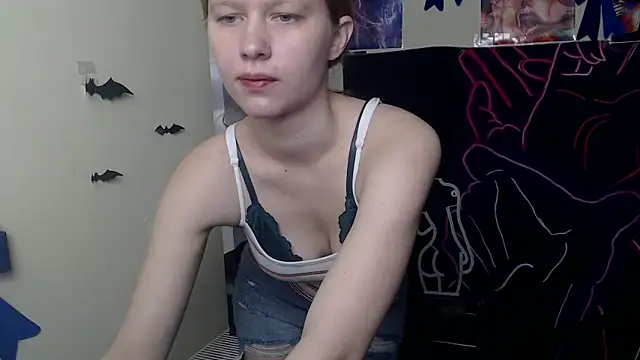 StellaCRL webcam